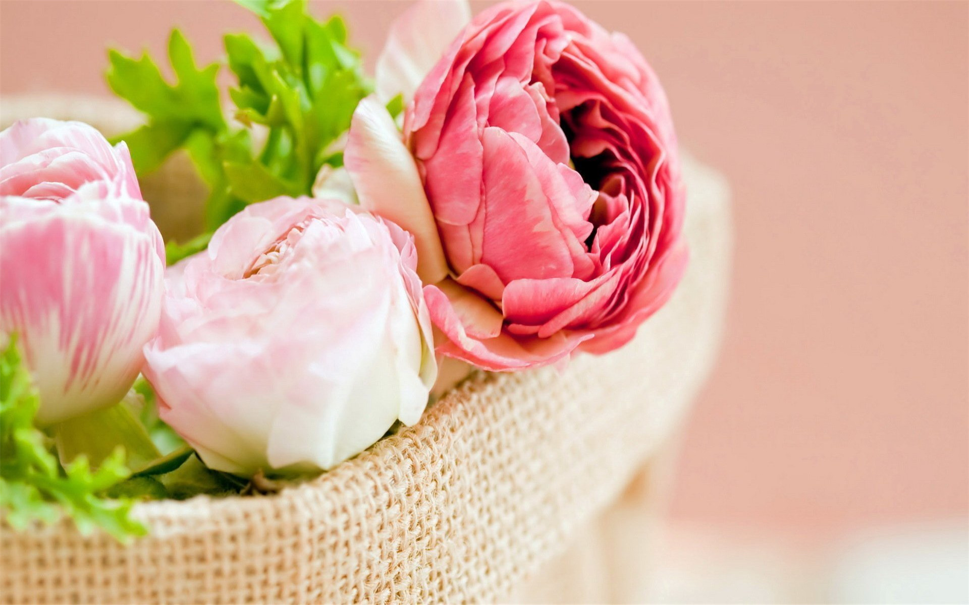 女人不主动联系说明她不爱你了,女人从来不主动联系你说明不喜欢