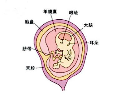 妇科检查多可怕,外阴超声治疗要做几次