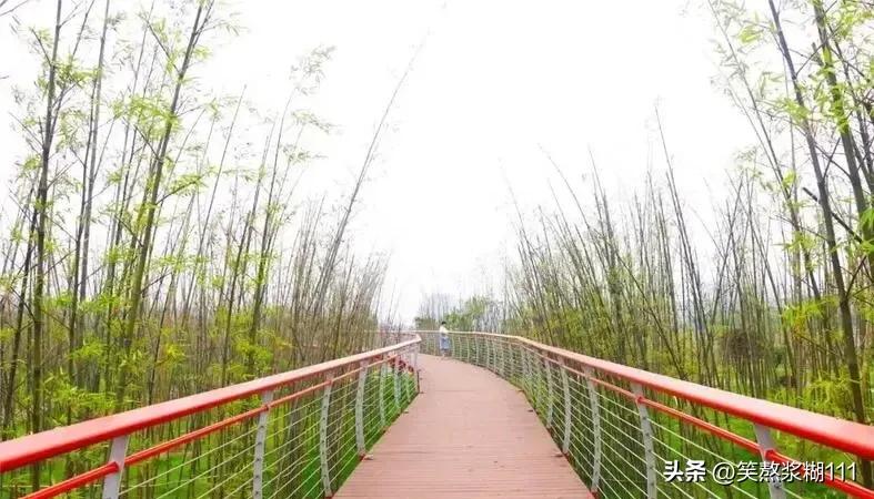 宜宾市南溪区万里长江第一区,宜宾江安县未来五年发展规划