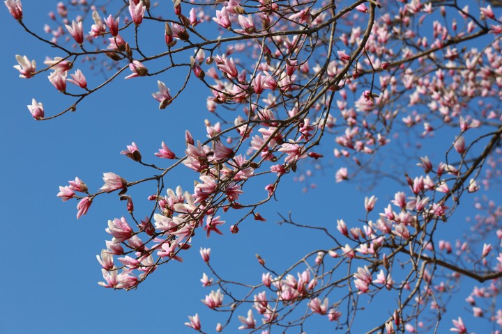 缇界粧鏈嶈繃灞辫溅,缇界粧鏈嶇┛浜嗚繕鍐峰悧