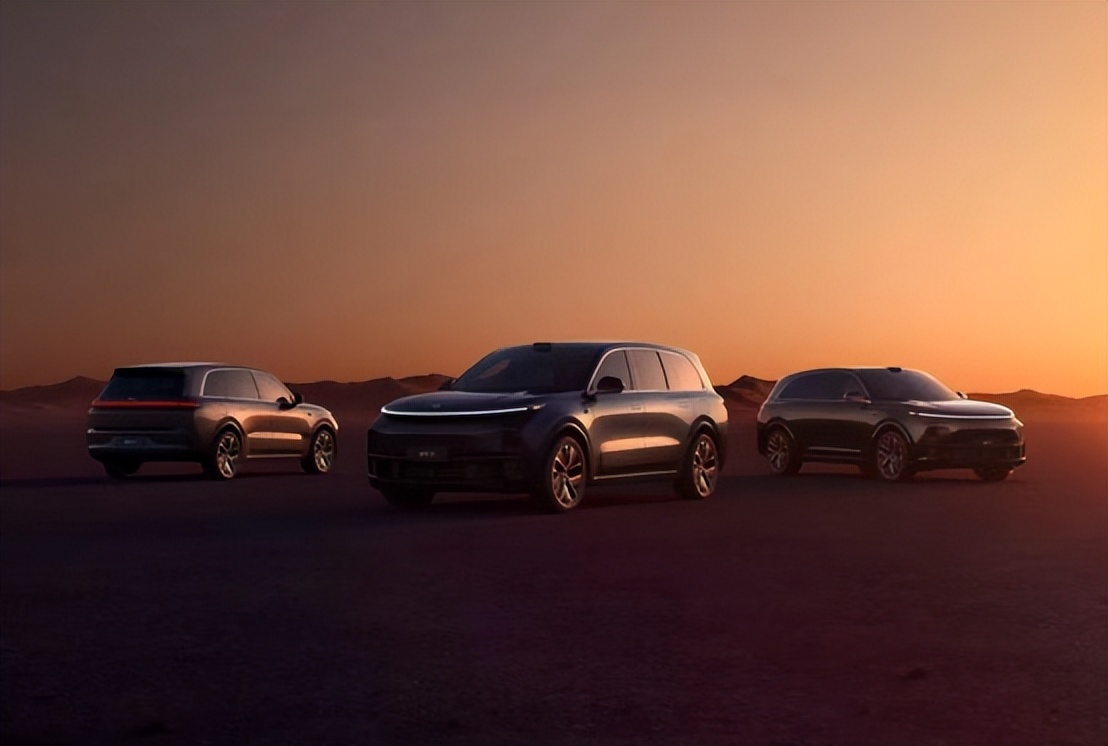 国产新能源五常,新能源五强品牌会诞生吗