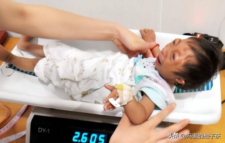 2009年湖南女子生下重2斤小猴子,湖南女子生了个小猴子上综艺节目