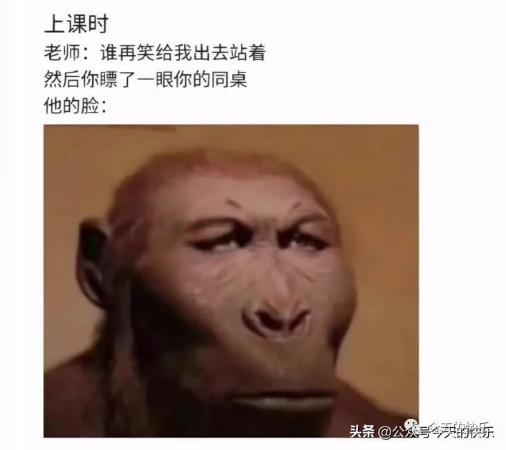 碰瓷搞笑图片,碰瓷真假搞笑图片