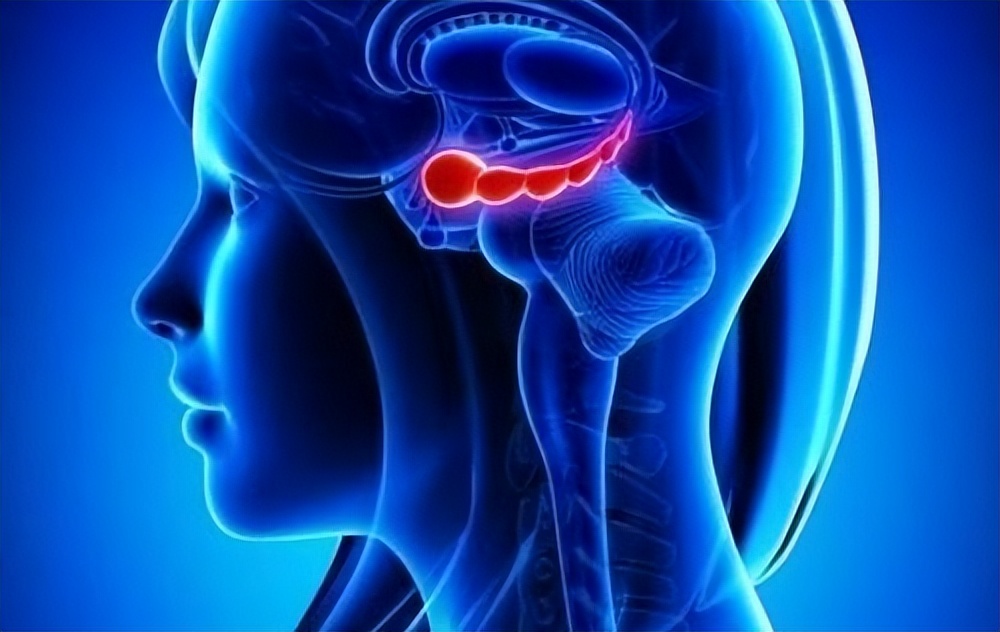 撞到后脑勺了要注意什么,撞到头要注意哪些事项