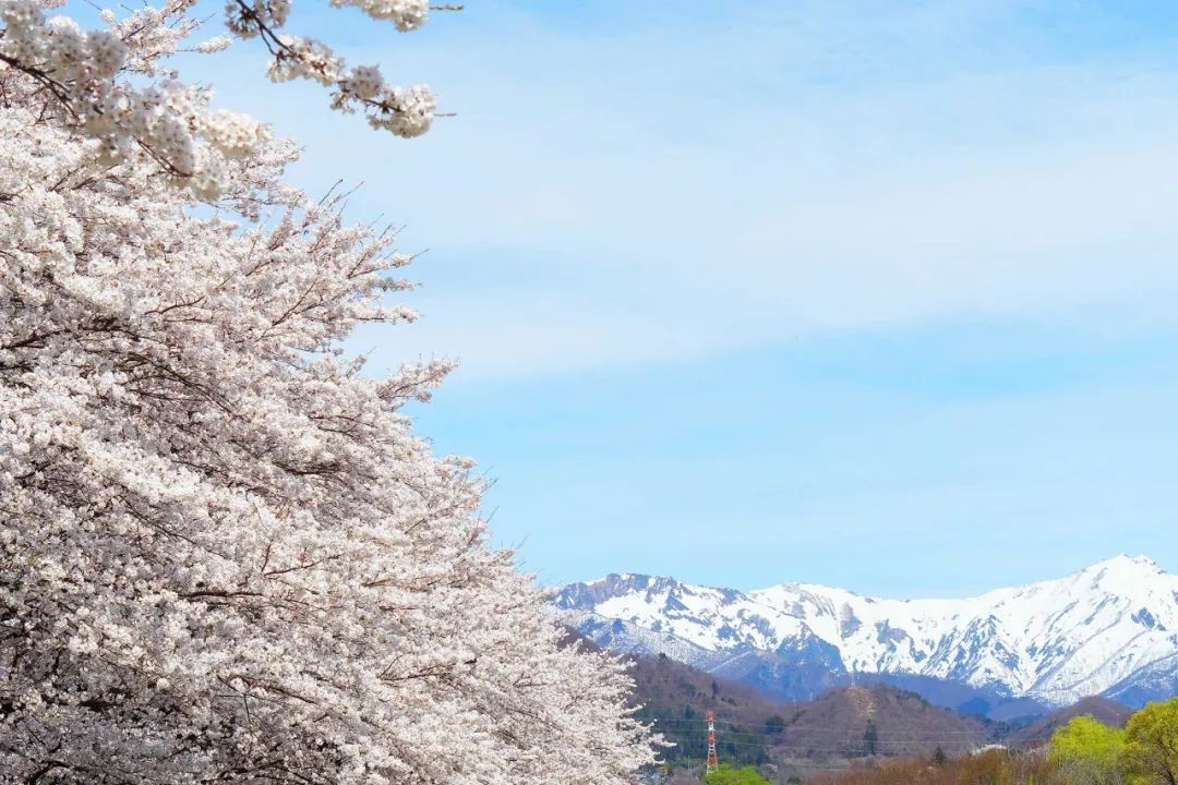 乡村改造创意工坊设计概念,极简乡村改造设计