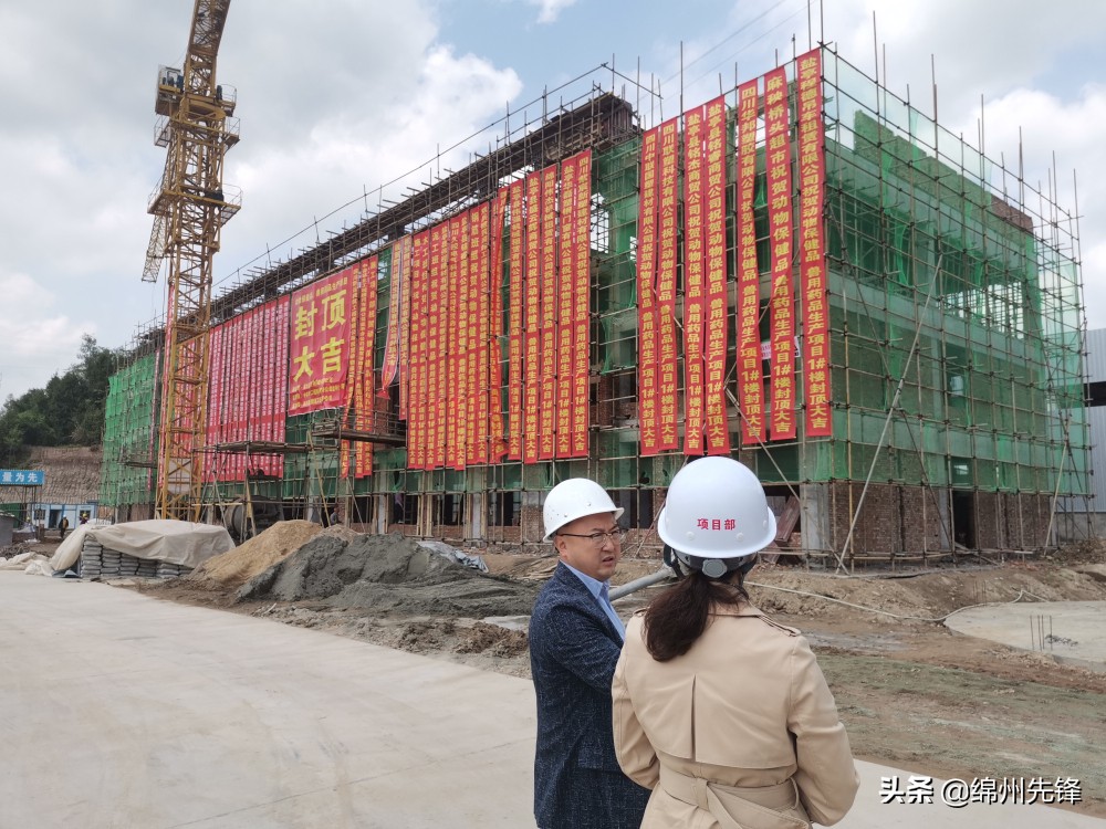 奋楫笃行促成长,奋楫笃行续新篇