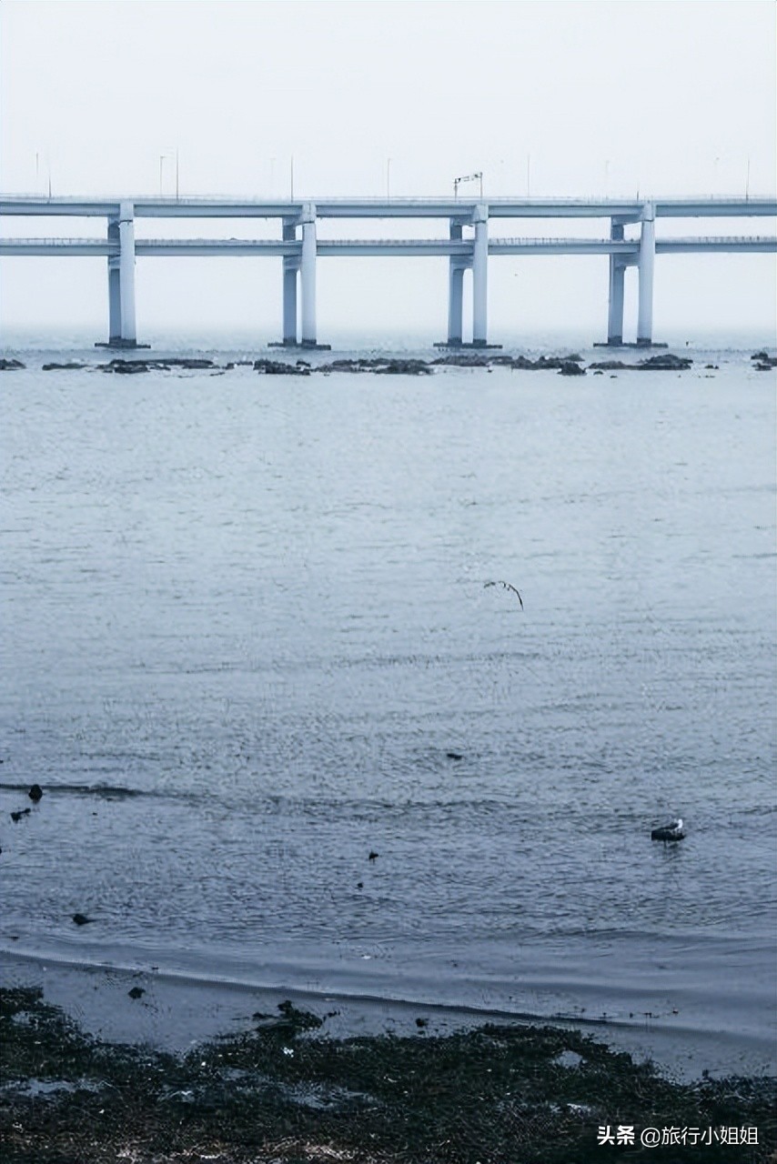 夏日海边微醺氛围感,滨城风光秀丽浪漫气息爆表