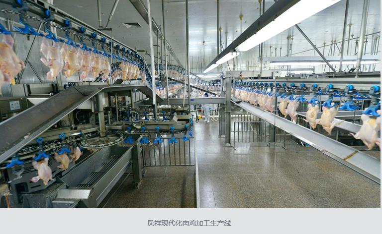 总资产超300亿有色、食品以及金融投资成为新凤祥集团三大支撑