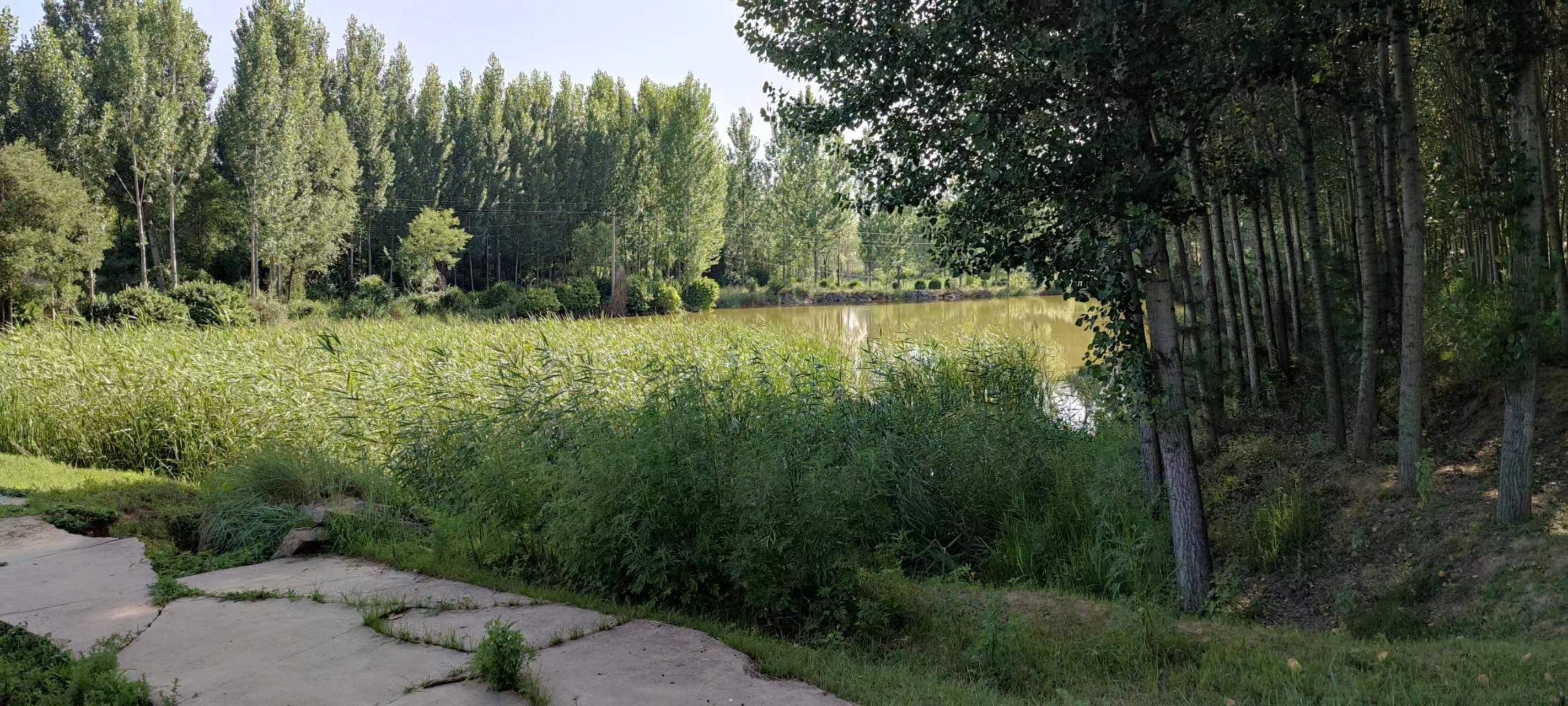 古中国考出彭蠡泽｜张笔魁