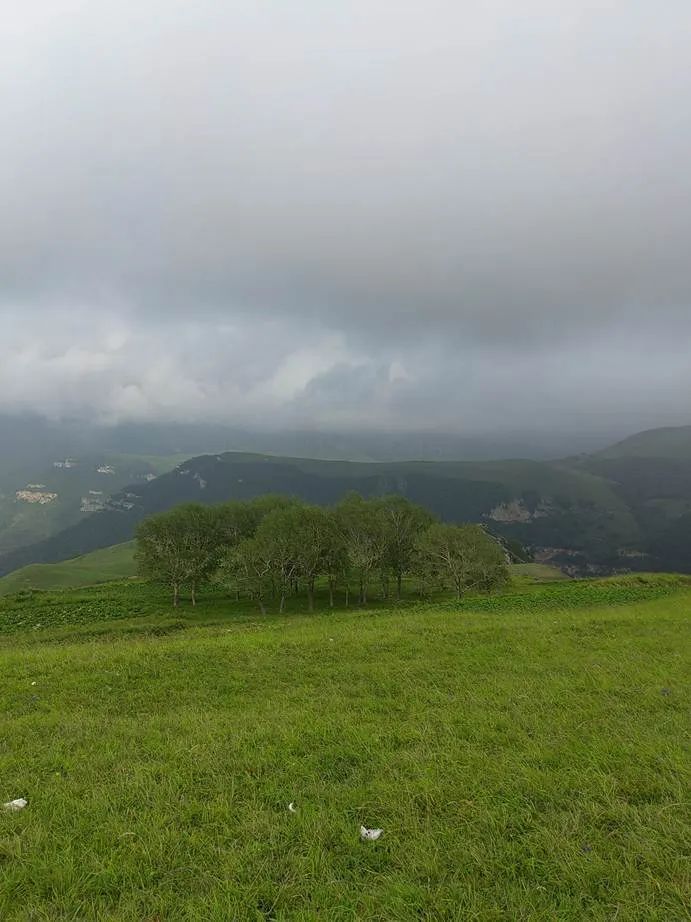 灏忓ぉ灞遍夯鐢板箔鏅尯浜戞捣,楹荤敯宀皬澶╁北璺ソ璧颁箞