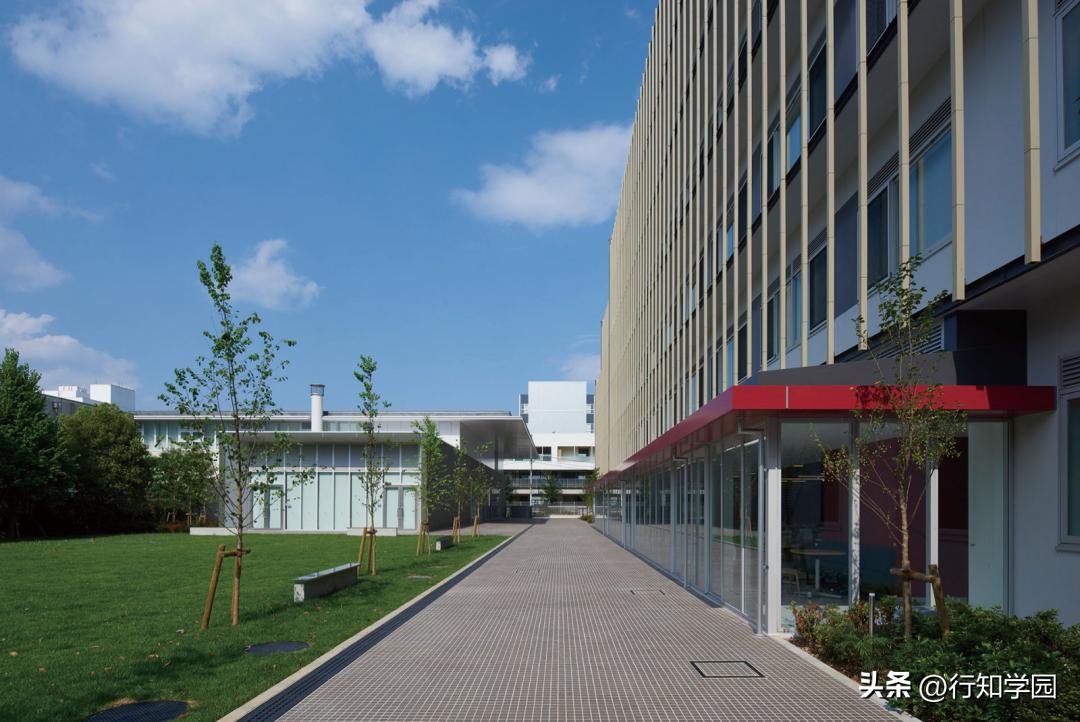 美国天普大学的申请条件,sgu项目本科申请条件