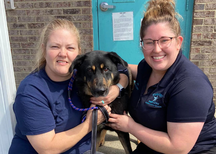 “同性恋”小狗被恐同主人遗弃，因祸得福，找到新的同性恋家庭