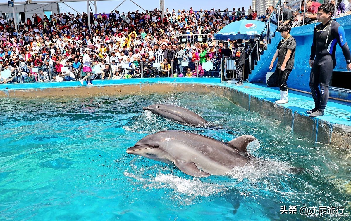 青岛周边游玩景点攻略推荐,青岛周边境内旅游景点推荐最新