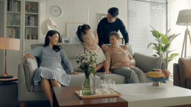 家居绿植搭配指南,家居生活绿植搭配