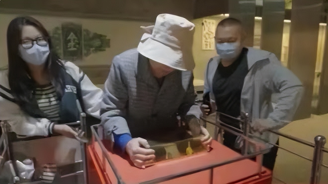 招远金条视频,招远黄金小金条