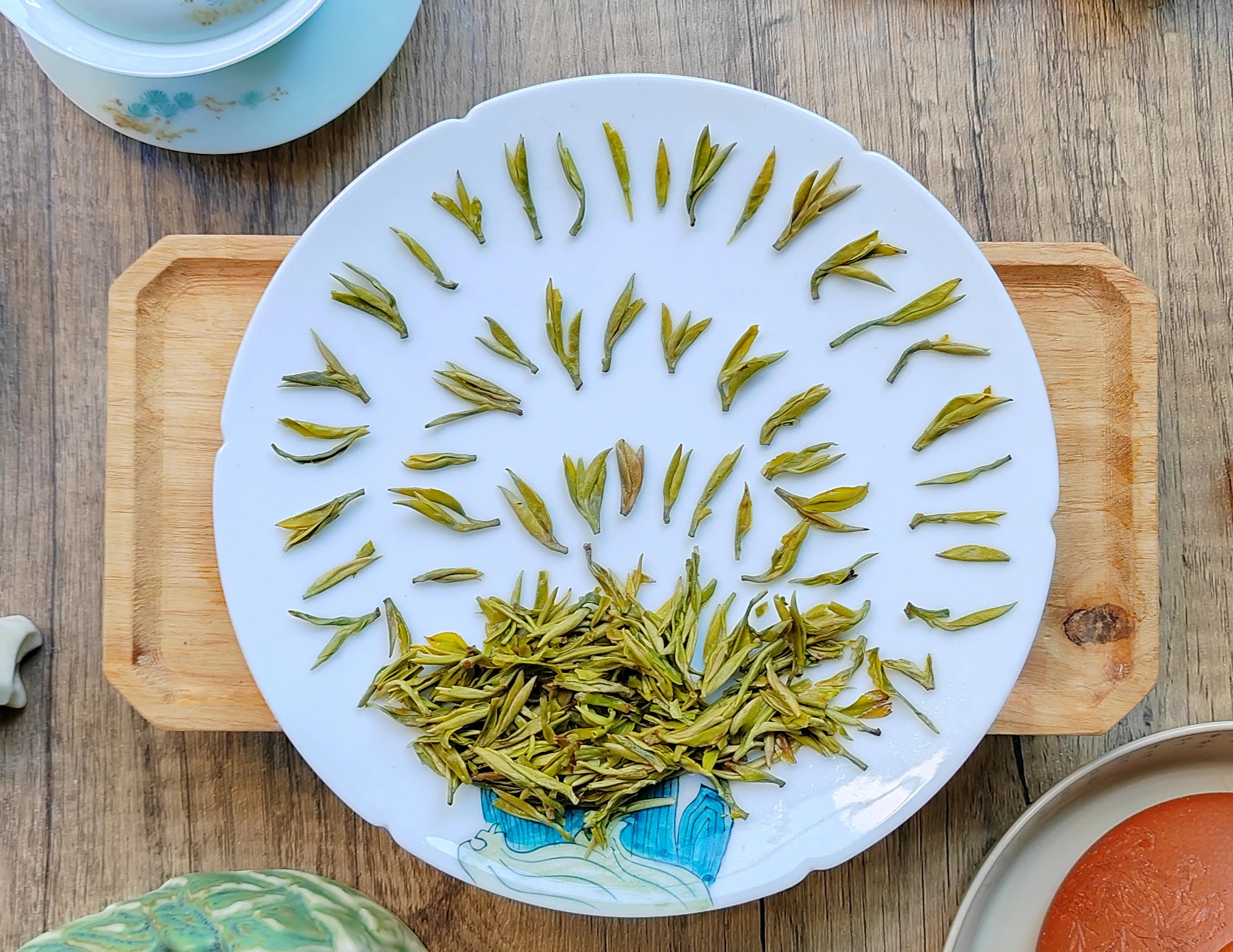 四川茶vs安徽茶,四川正宗天府龙芽茶