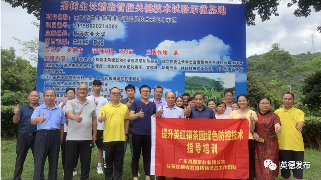 英红镇最新项目,英红镇的发展