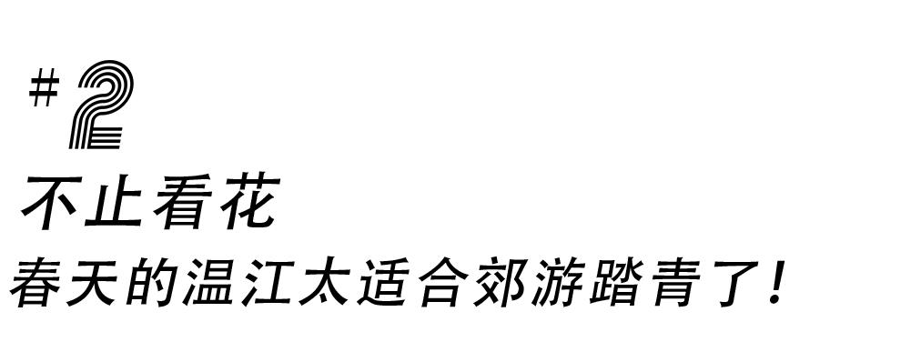 提前盛开！成都市区这个被偏爱的宝藏地又上新，即将刷爆全网