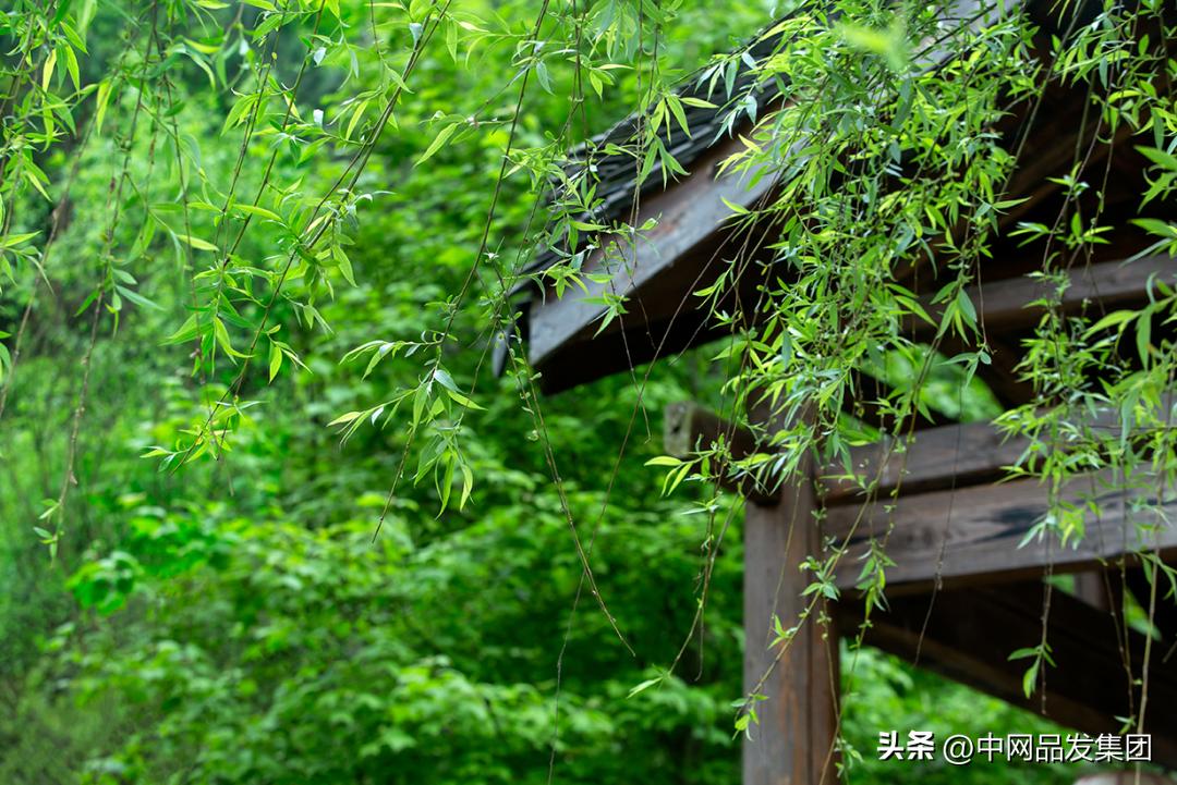 图书类短视频如何借助抖音实现线上营销?