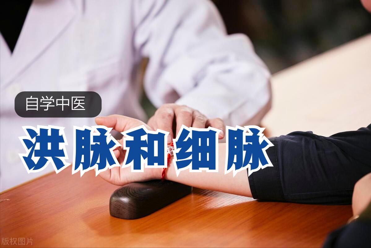 洪脉与细脉相反吗,自学脉诊视频教程全集