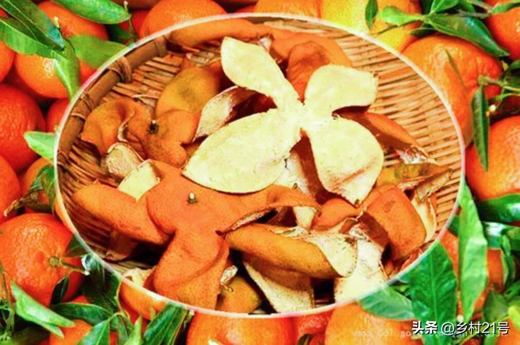 水果酵素第二次发酵的方法,水果酵素发酵过程图