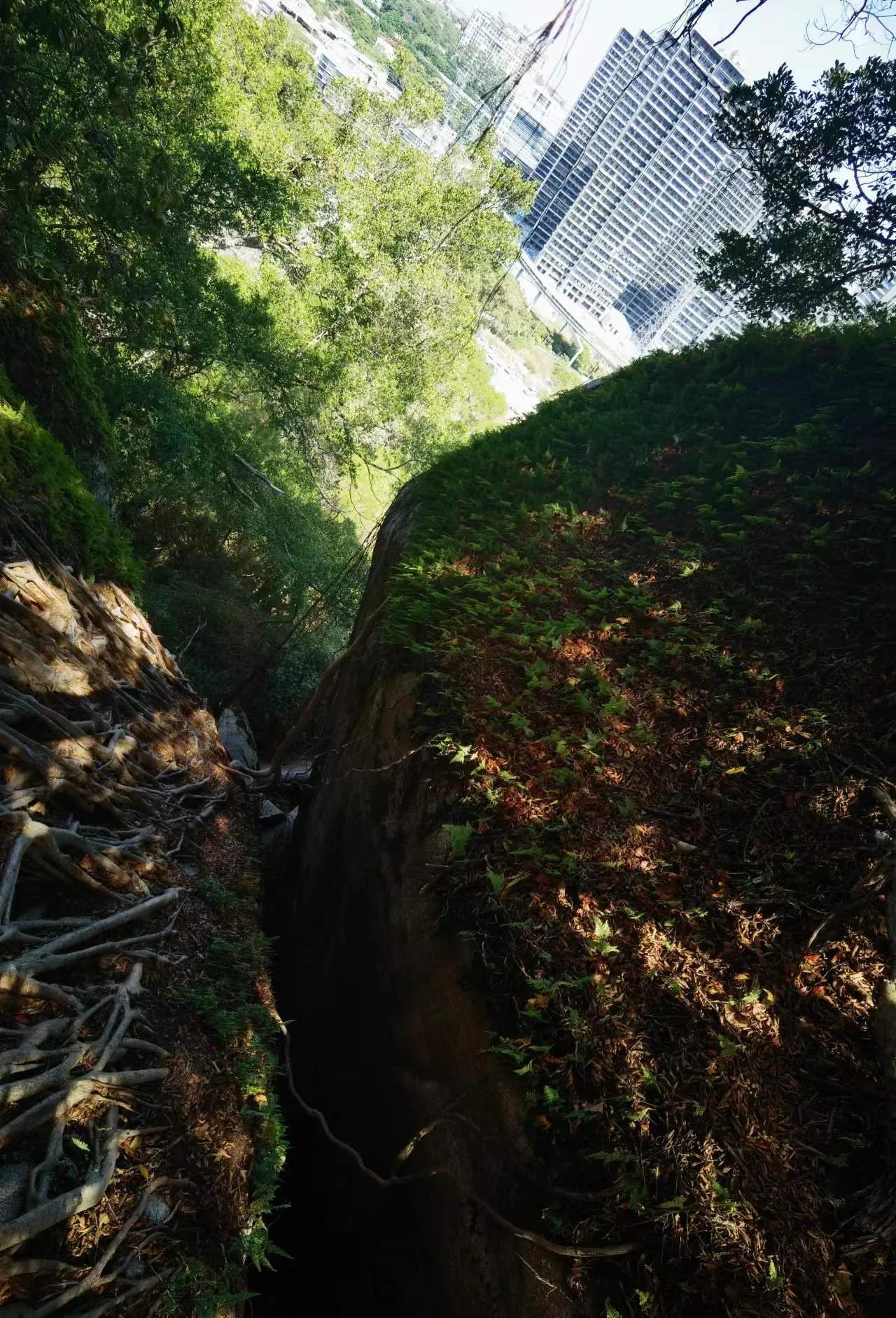 厦门岛内去哪里逛,厦门新年爬山