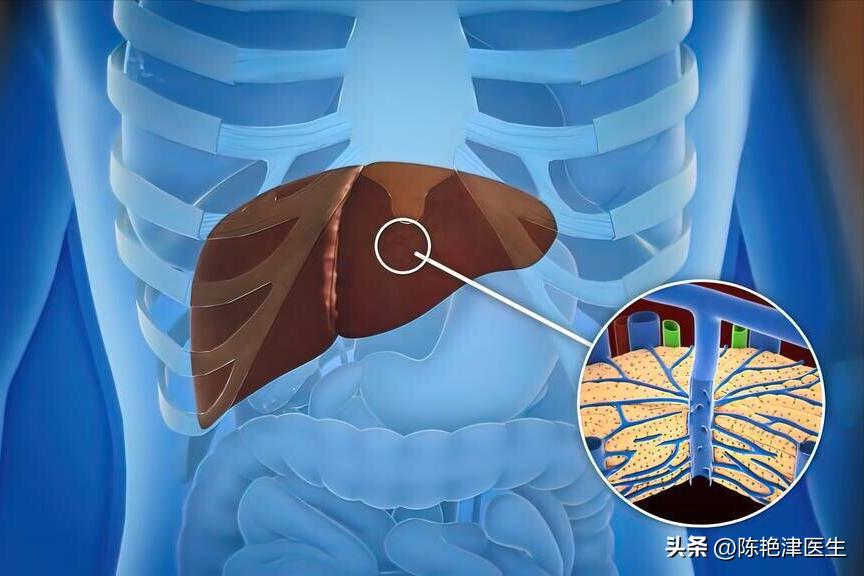 肝不好头部先知,肝变硬头部会有什么反应