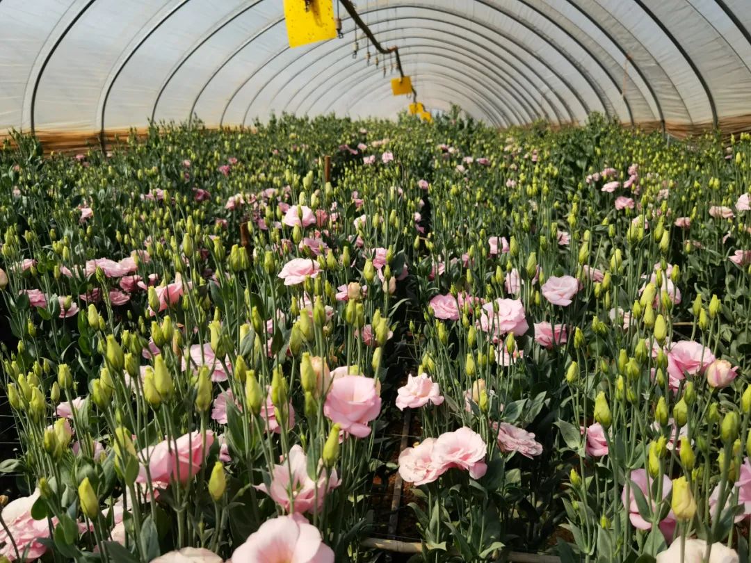 3年6000亿美元,3年赚60万什么水平