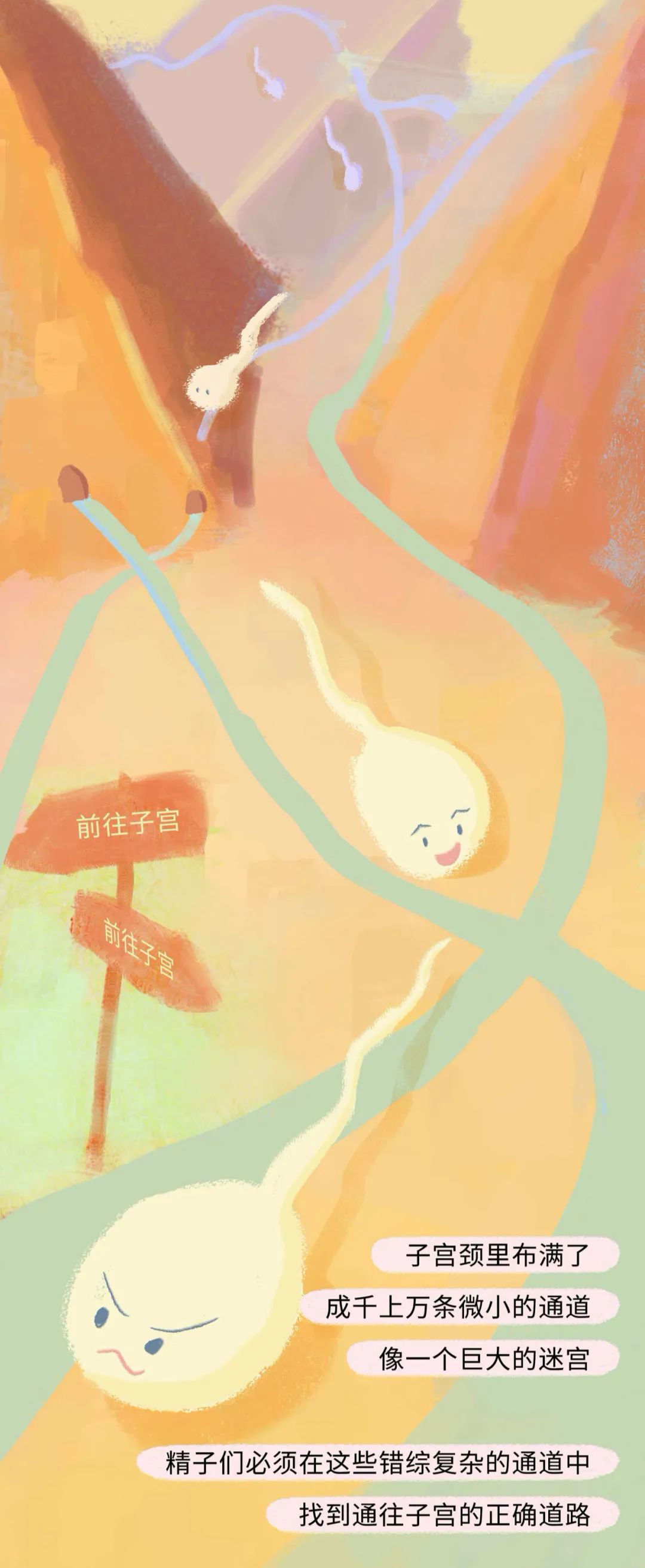 漫画：精子进入女生体内的全过程曝光！别害羞，早知早受益