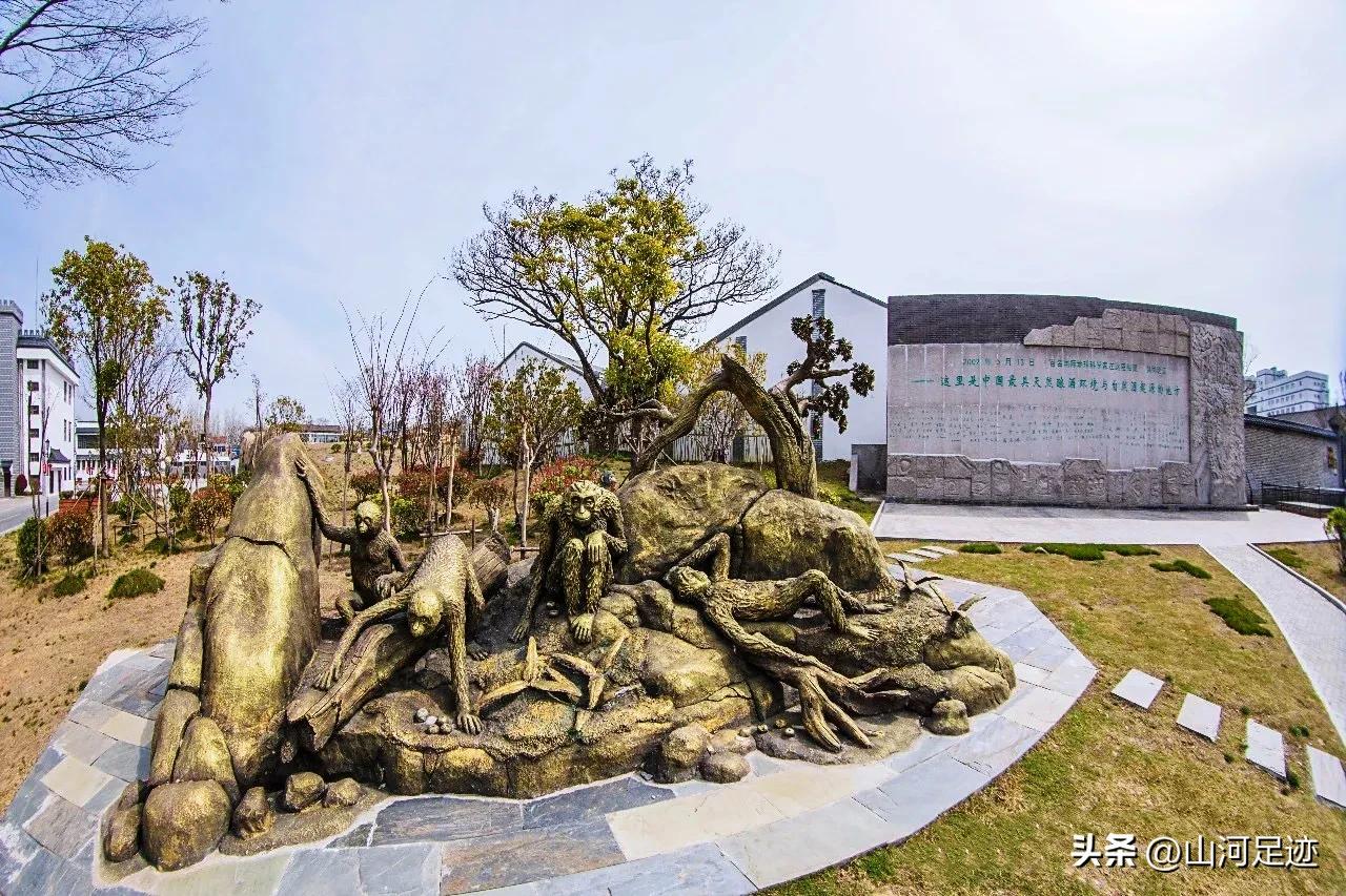 双沟大曲最高端,双沟大曲为什么叫双沟