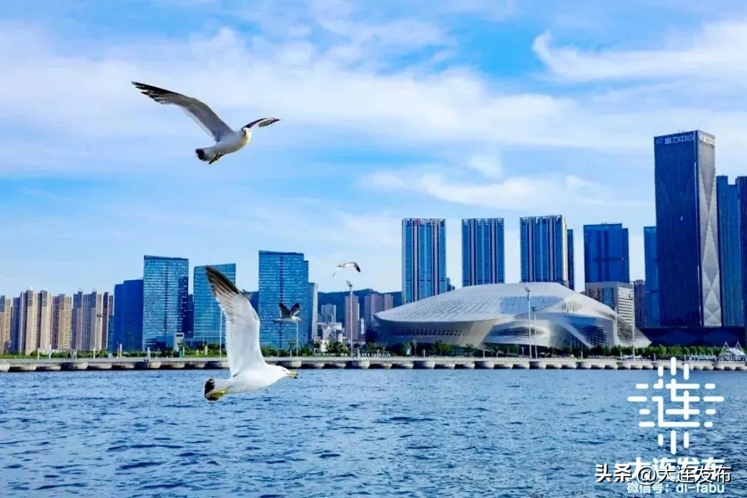 大连文旅指南,大连文旅季