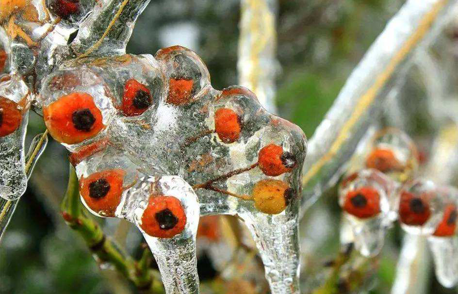 2022年春天是倒春寒吗,2023年春季冷不冷