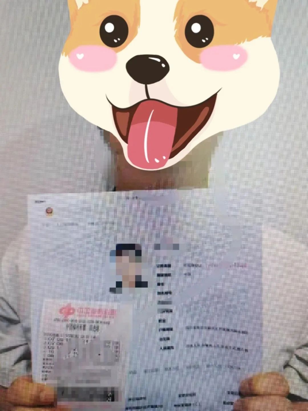 总监3W，客服2W！仪陇小伙买了飞往西双版纳的机票