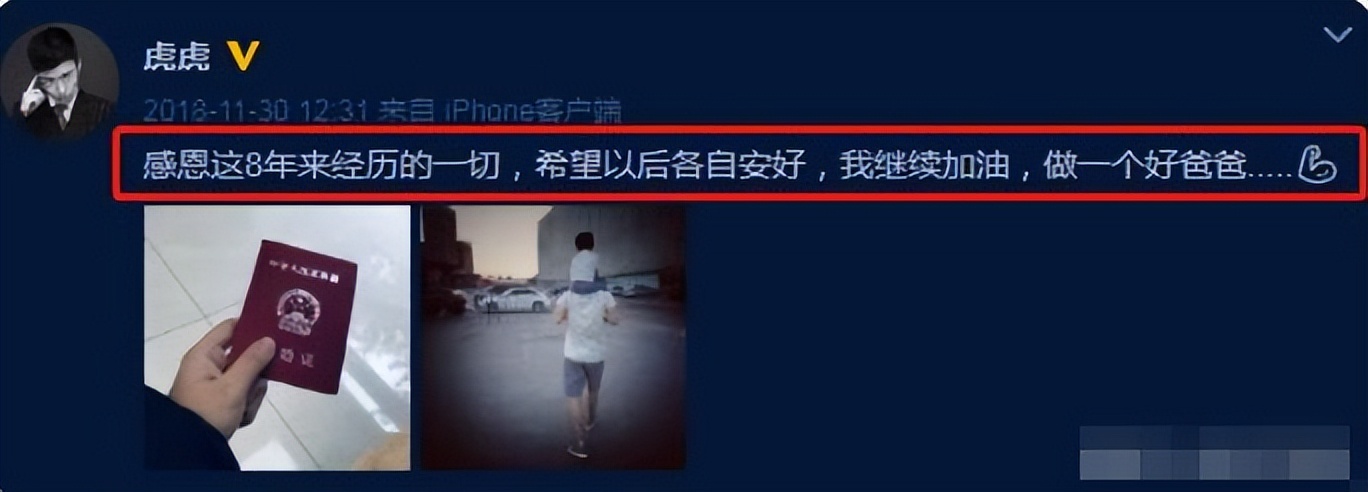 青鸟飞鱼现状,青鸟飞鱼解散