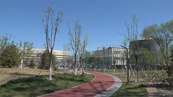 海淀区新增公园,海淀新建的公园