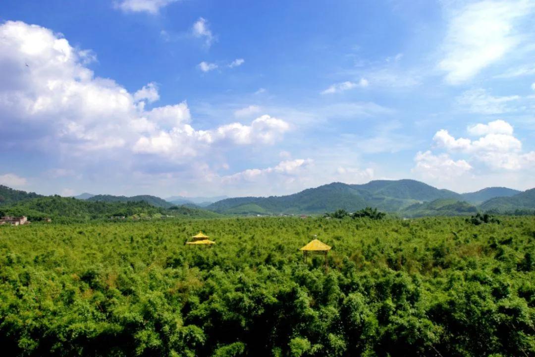 肇庆强盛,广东肇庆的经济发展潜力