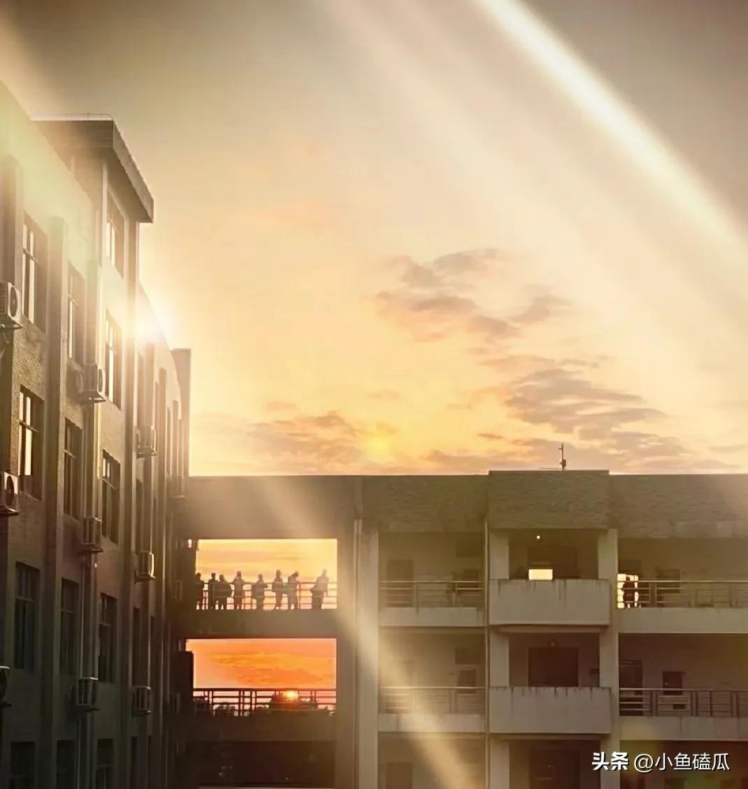 梦里花落知多少主角,梦里花落知多少24集