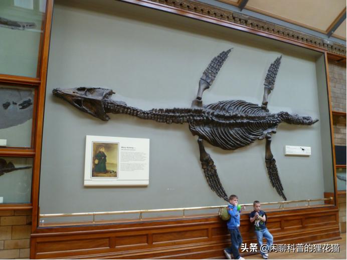 寒武纪三叶虫捕食者,十大最可怕的史前海洋巨兽