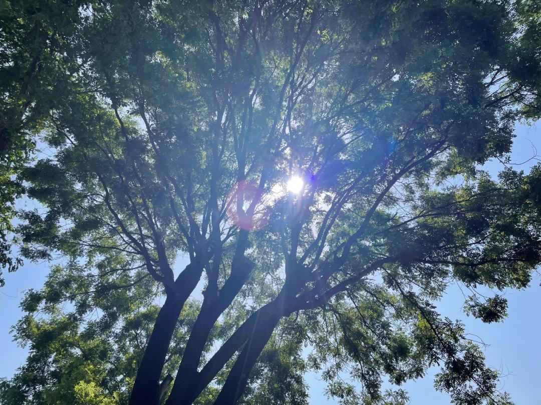 随县炎帝学校近期活动,随县炎帝学校年会