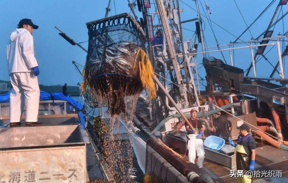 （四十八）煮羊排，宴请俄罗斯旧友烟台渡东洋，捕鱼砸翻二鬼子