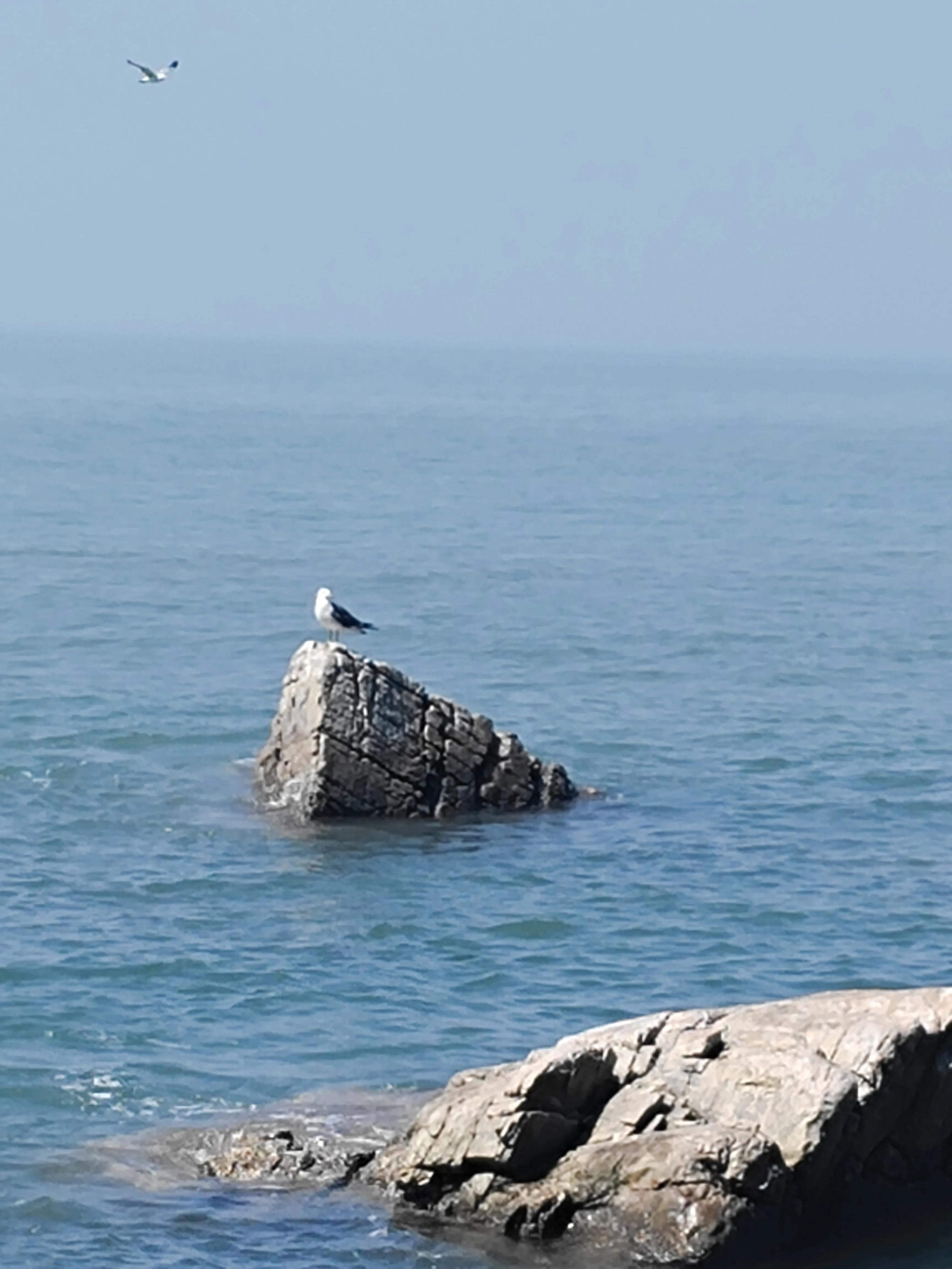 长岛旅游九丈崖,长岛一日游烟台的海