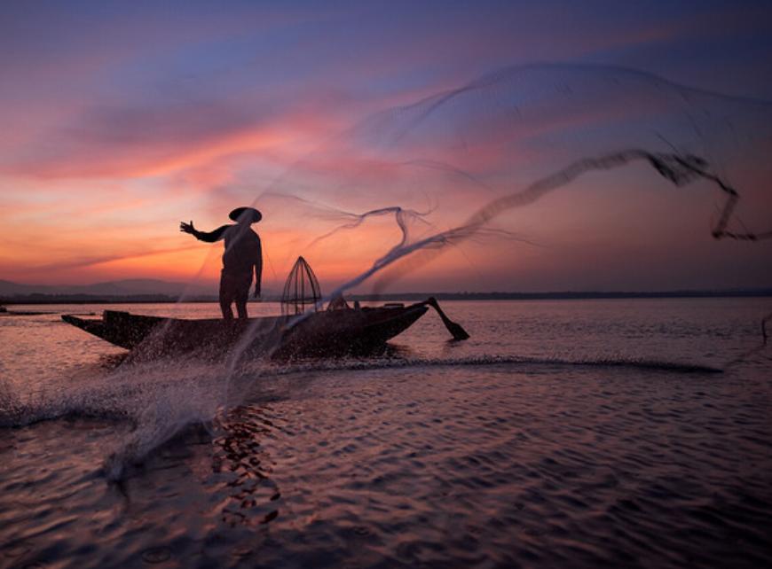 两种鱼被列入致癌名单,三种鱼致癌被列入黑名单