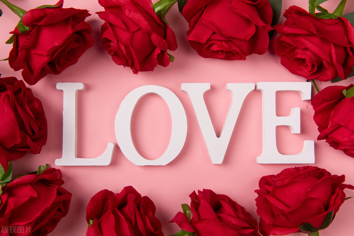 第一次见面送女生什么花,相亲第一次见面送女生什么礼物