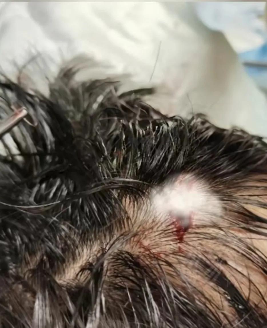 失败不可耻,拼搏在前方。不羡日韩,拥抱渐渐到来的中国足球春天