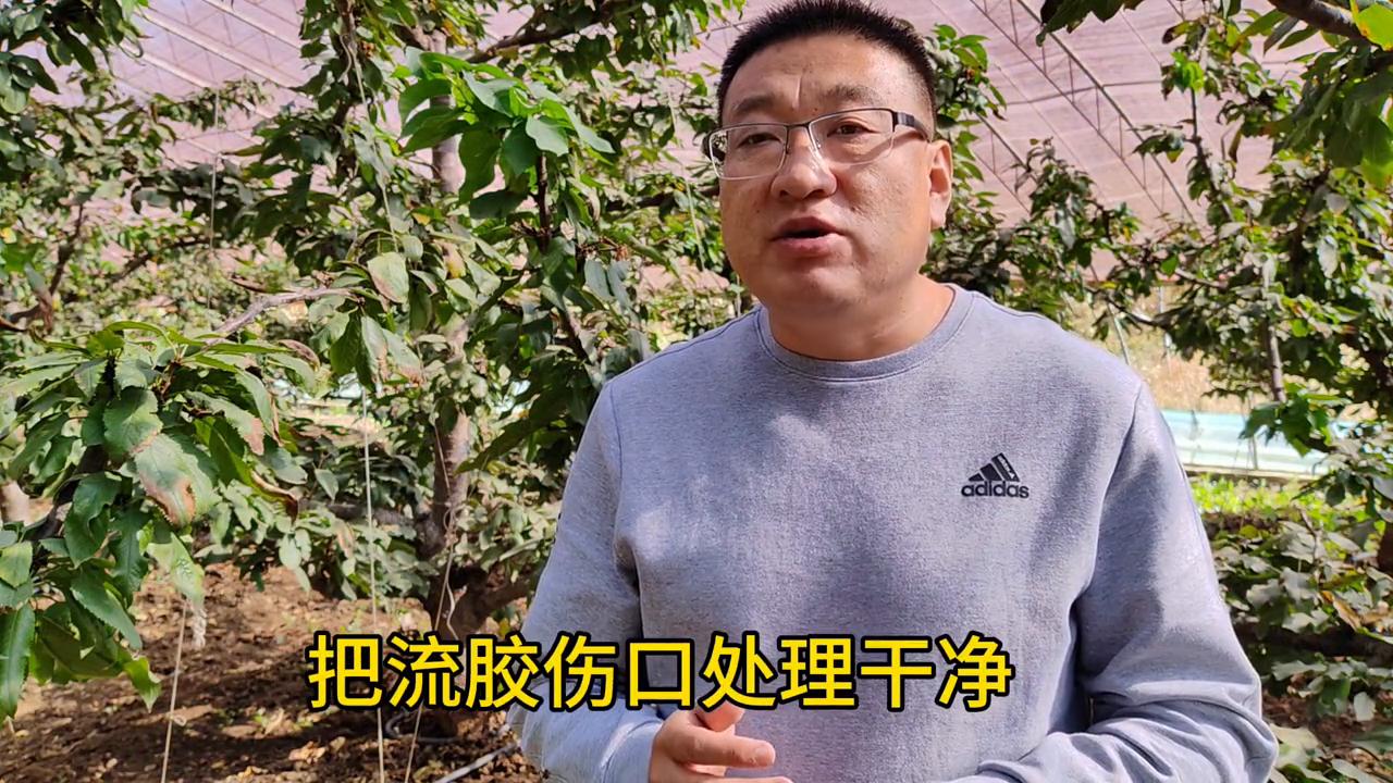 亿农美科土菌净,亿农美科生根菌剂