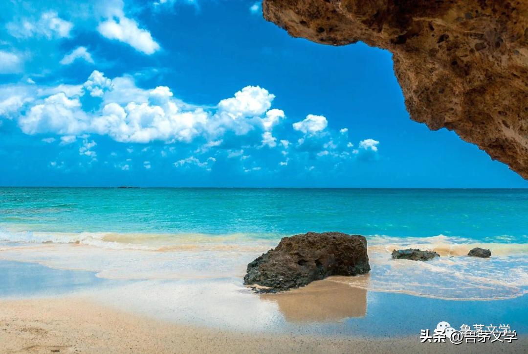 散文作家苏沧桑,冬酿散文