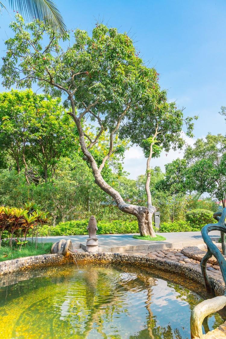 厦门泡温泉日月泉,冬季室外温泉别样感受