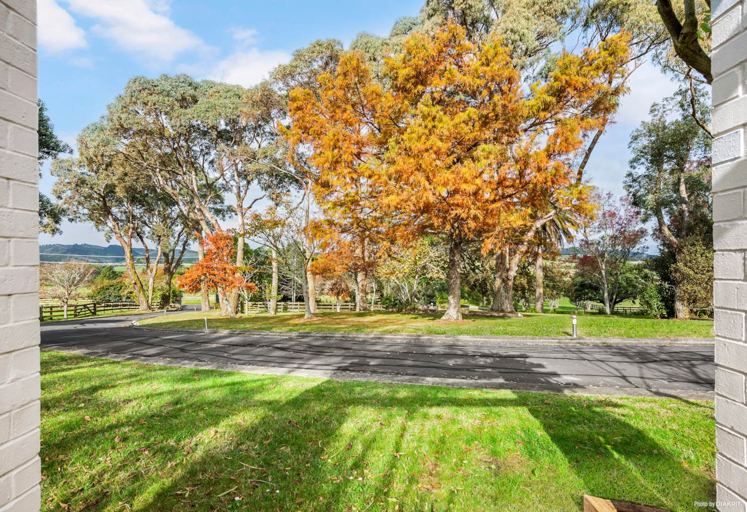 纽村照片,纽村的环境有多好