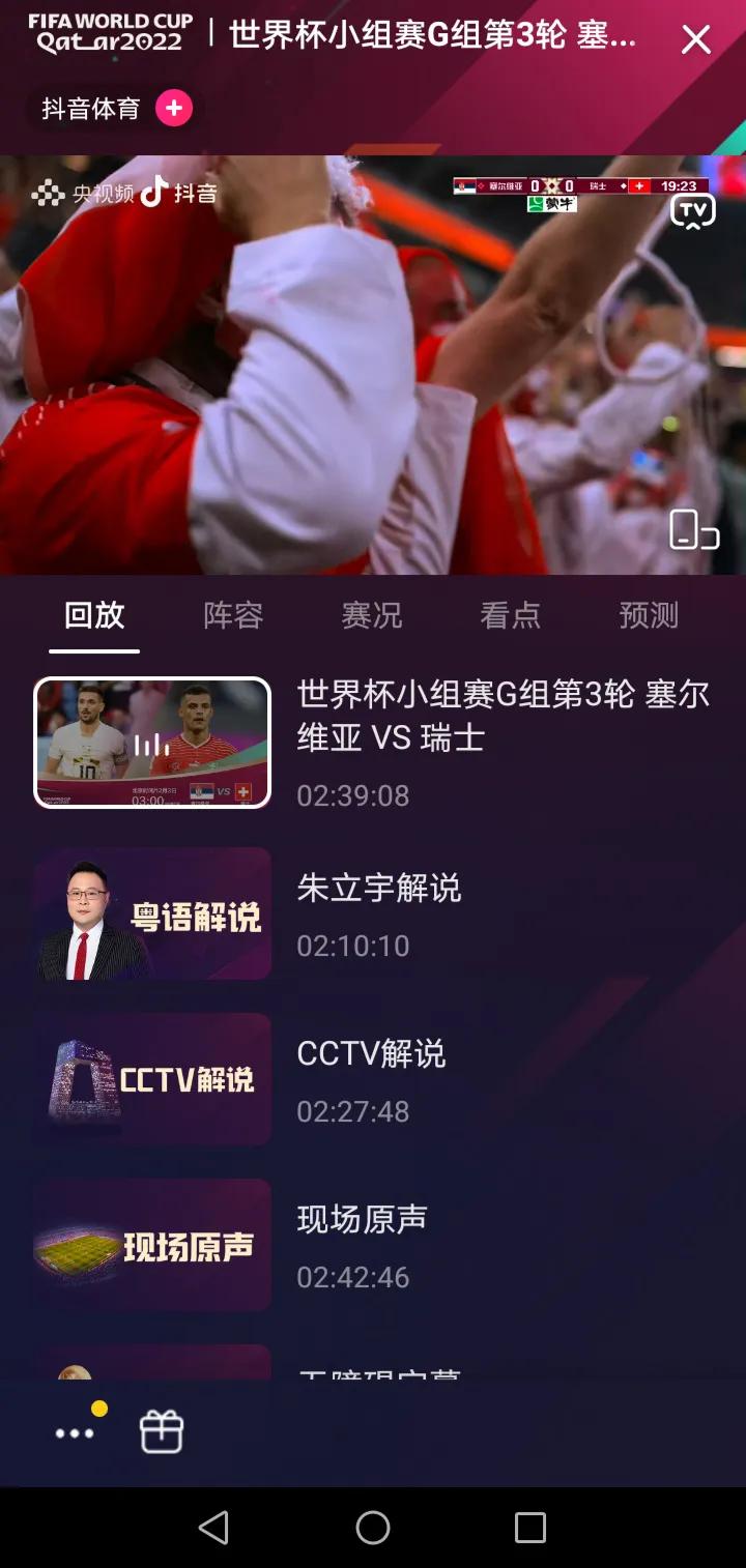 世界杯无障碍直播回放日本,世界杯直播录像回放日本