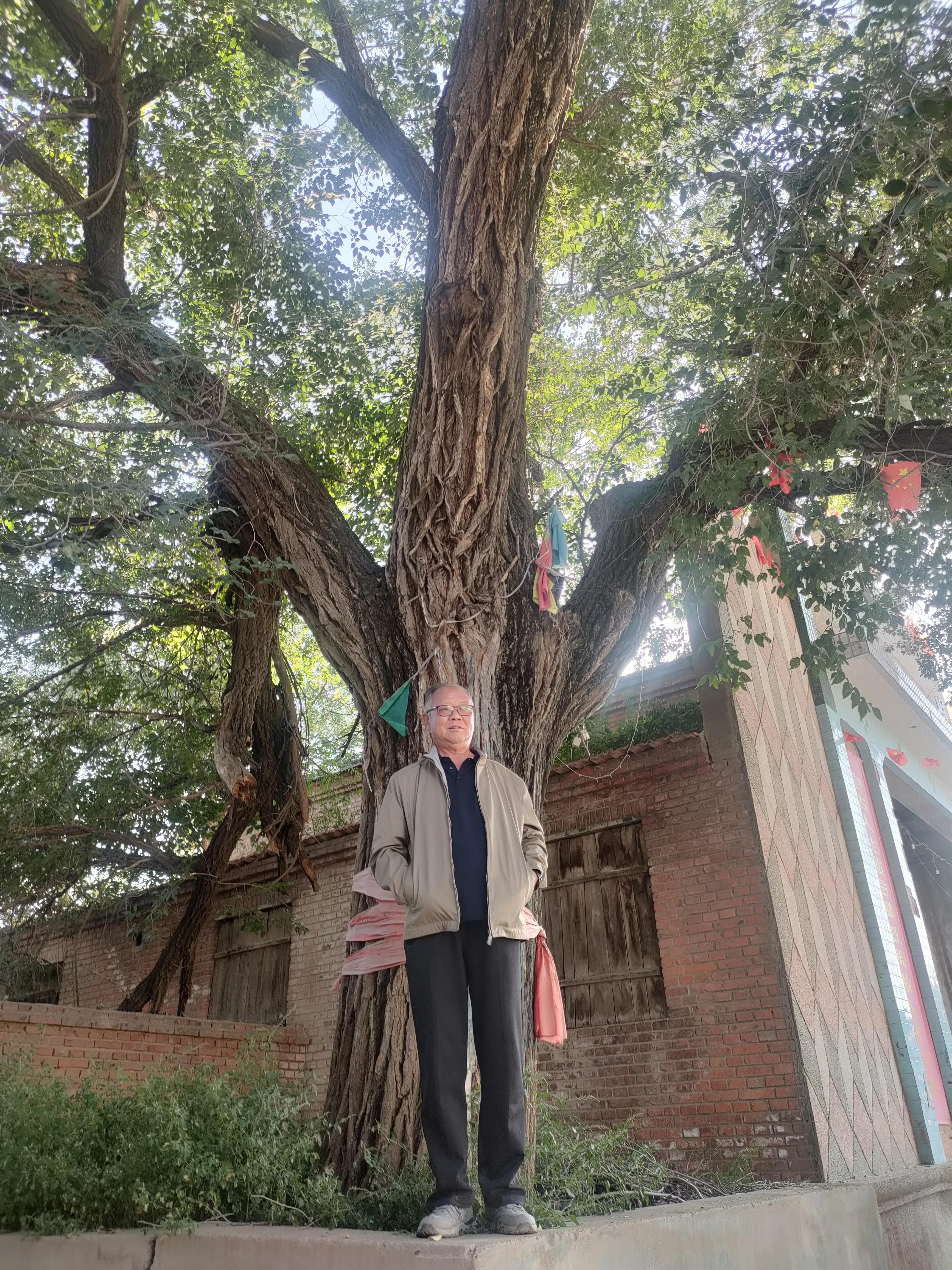 寮犲鍙ｅ競瀹ｅ寲鍘挎潕澶т汉搴勬潃浜烘,瀹ｅ寲鏉庡ぇ浜哄簞鍦板悕鏉ュ巻